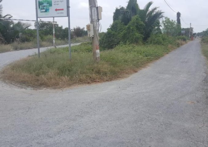 Cần tiền bán lô đất 8.600m2 An Thới Đông, Cần Giờ