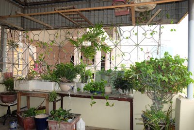 Bán nhà số 25 Ngõ 202F Đội Cấn, Quận Ba Đình, Hà Nội