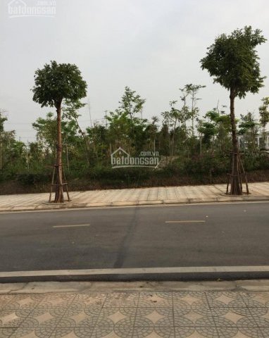 Chính chủ cần bán nhà liền kề dãy TT11 KĐT Xuân Phương Tasco Forresa, căn view hồ và công viên đẹp