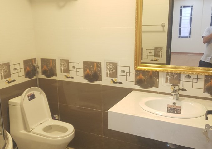 Bán nhà ngõ 272 Trần Khát Trân, Đồng Nhân, Hai Bà Trưng 22m2 x 5t giá 2.1 tỷ cách đường ô tô 15m 