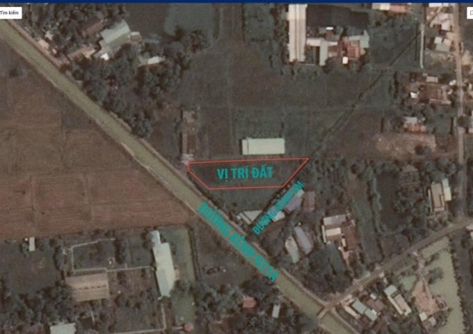 Cần bán đất đường Kênh N31A, Xã Tân Thông Hội, Huyện Củ Chi 0938629435