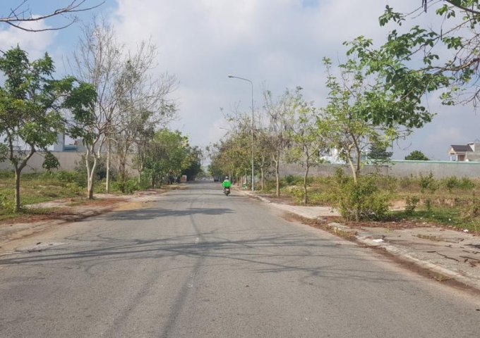 Bán Đất Đường D12, Phường Phú Tân, Thủ Dầu Một, Bình Dương