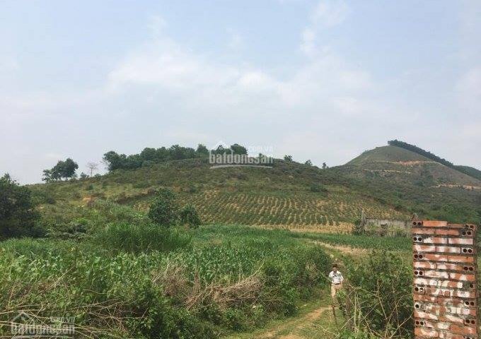 Bán gấp mảnh đất rộng 14400m2, mặt tiền 60m tại Xuân Mai, Hà Nội