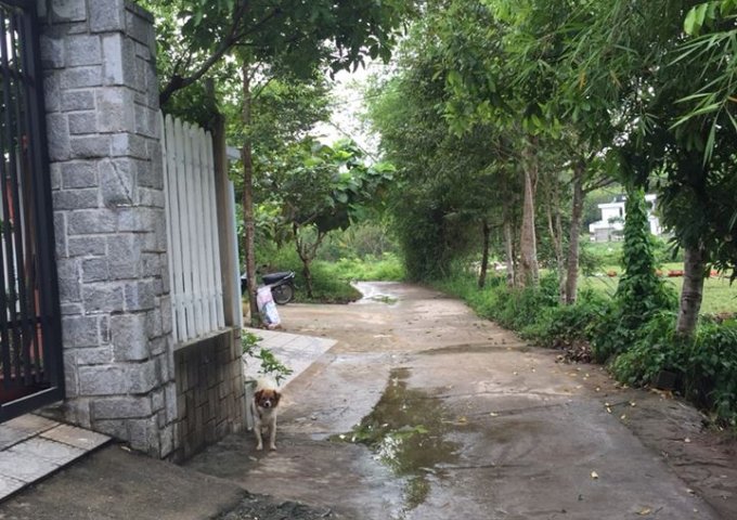 Đất kiệt mặt tiền kiệt 105 Lê Ngô Cát