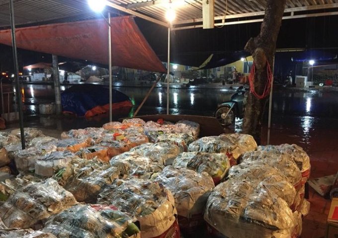 Dự án khu đô thị mới 379 Tân Mỹ, Bắc Giang, Bắc Giang, diện tích 80m2, giá 720 triệu