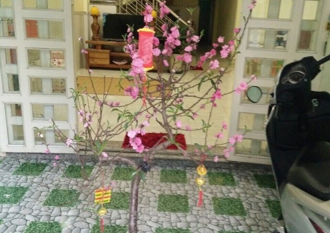 Nhà mặt tiền Nguyễn Thị Nếp, Tân Thạnh Đông, Củ Chi bán