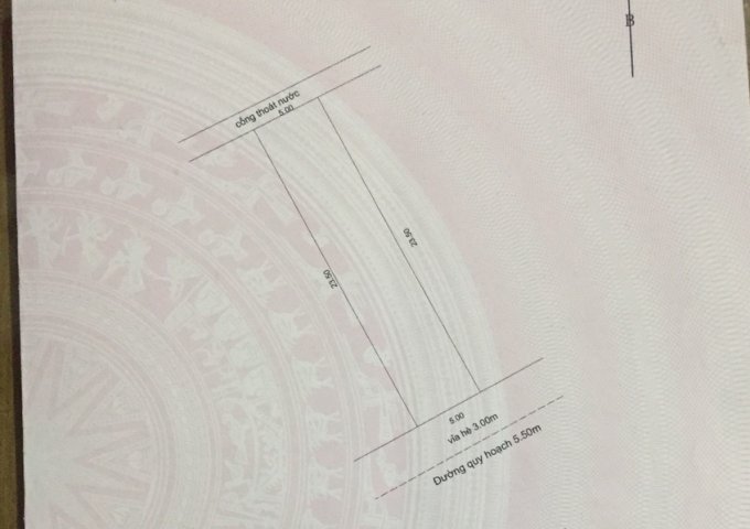 Bán lô đất mặt tiền đường 5m5 Phạm Thị Lan Anh ngay Hoàng Văn Thái. DT 117m2 