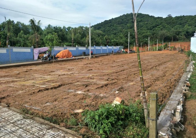 Bán đất nền dự án tại Đường Cây Thông Ngoài, Phú Quốc,  Kiên Giang 