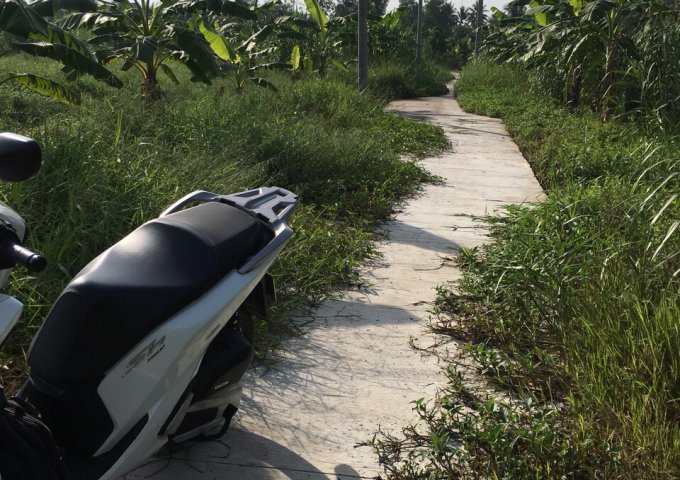 Bán đất vườn khu tái định cư 923, An Bình, Ninh Kiều giá 350 tr