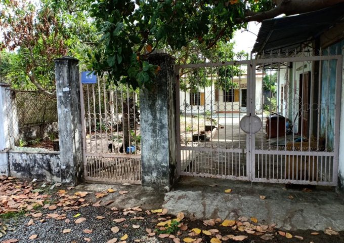 Cần  bán căn nhà đường Trần Quang Diệu, Long Toàn  Khu đông dân cư gần chợ gần trường học. 