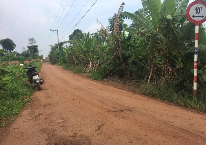 Bán 1 mẫu 2 đất 4 mặt tiền đường xã Sông Thao, Trảng Bom, Đồng Nai
