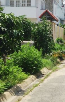 Bán đất nền KDC Phú Nhuận, đường Lê Thị Riêng, Thới An, quận 12, 5m x 18m, chỉ 3,7 tỷ