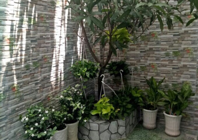 Bán nhà mới C5 KDC Nam Long Phú Thuận, Quận 7, xây dựng 2 lầu ST. DT: 4x20m, giá: 7.8 tỷ TL