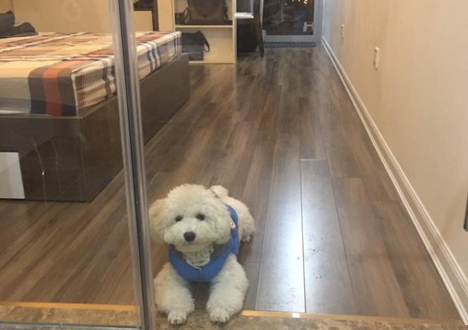 Thăng Long Number One cho thuê căn hộ 111m2,3 PN, full đồ. Liên hệ: 0981555993