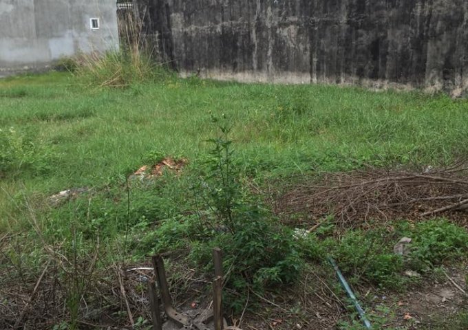 Bán gấp đất nền ngay chợ Bà Điểm, Hóc Môn, SHR, chỉ 679 tiệu