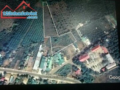 Bán đất gấp gần QL 28 trung tâm xã Đăk Nia, Thị xã Gia Nghĩa, Đăk Nông