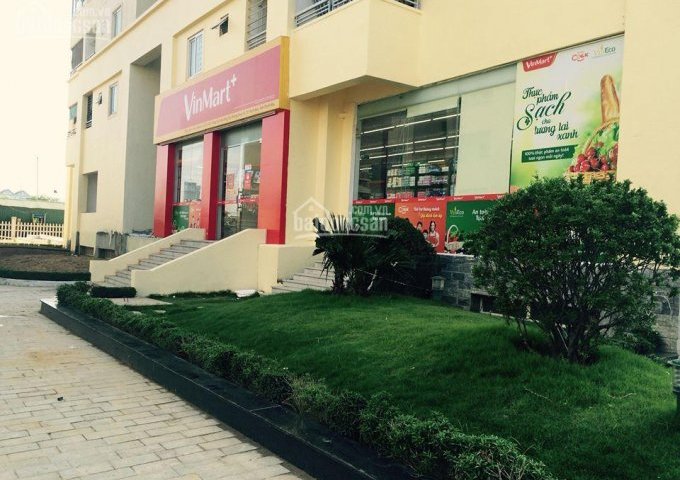 Chỉ với 240 triệu sở hữu ngay căn hộ chung cư Tecco Thanh Hóa, 3 PN, nhận nhà ở luôn giá siêu rẻ