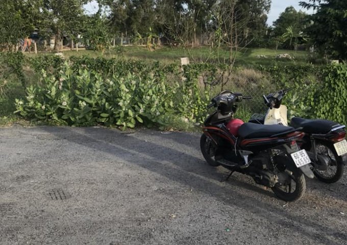 Bán nhanh đất mặt tiền bên hông cây xăng Lê Kha, Tuy Phong, Bình Thuận