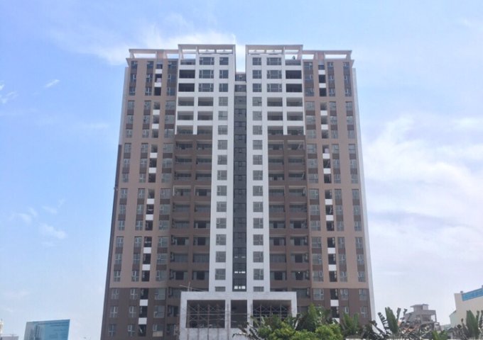 Northern Diamond nhìn tận mắt - Sờ tận tay, ở ngay, nhận chiết khấu khủng