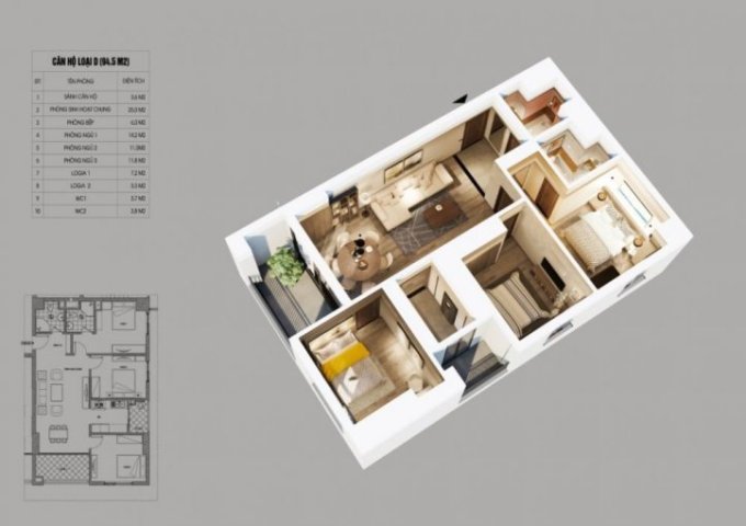 Northern Diamond nhìn tận mắt - Sờ tận tay, ở ngay, nhận chiết khấu khủng