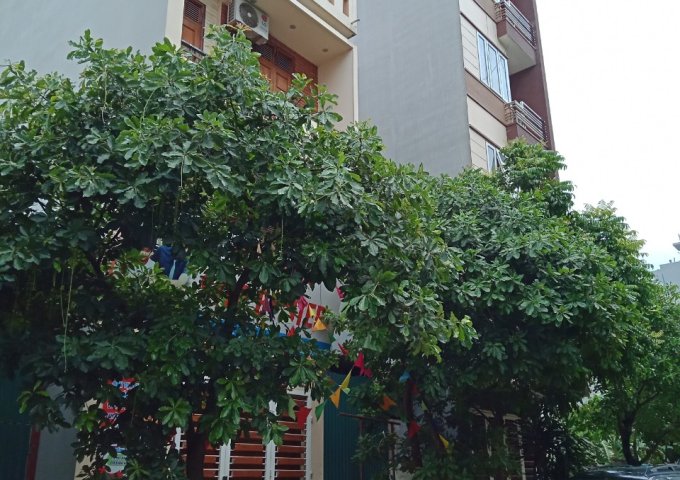 Bán nhà 4 tầng khu Cổng Đồng, La Khê, Hà Đông, 50m2, 3,85 tỷ, nhà ảnh thật có thể cho thuê ở VP