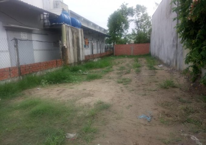 Bán đất đường gần khách sạn Tân Sao Mai, ấp Bình Tiền 2, xã Đức Hòa Hạ, giá 1,45 tỷ