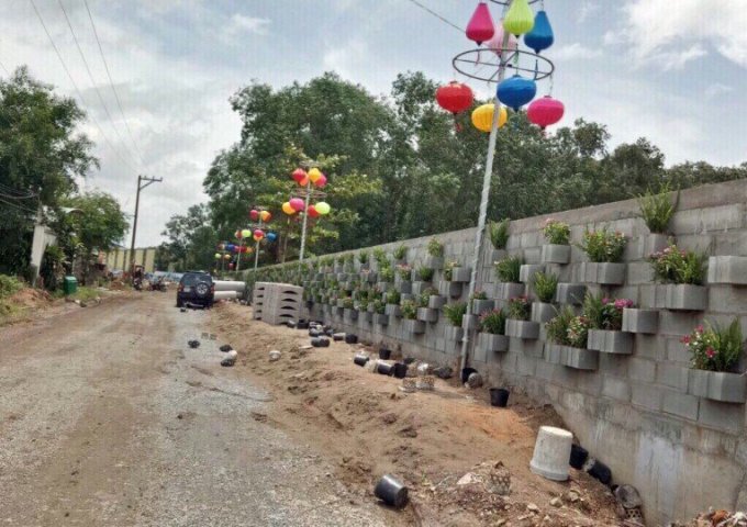 Bán đất nền dự án tại dự án Cát Tường Phú Bình, Thuận An, Bình Dương, diện tích 75m2, giá 1.5 tỷ