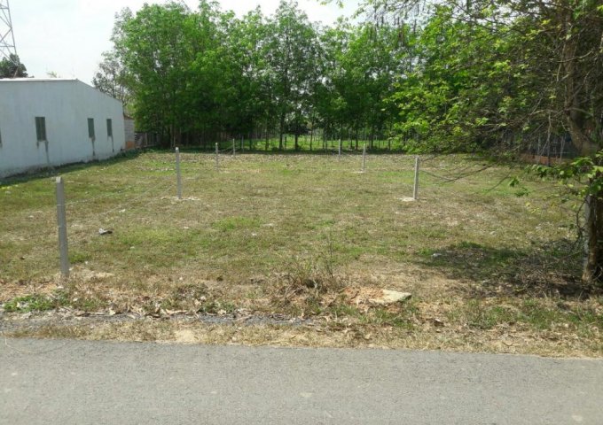 Đất mặt tiền Hương Lộ 2, Tân Phú Trung, Củ Chi, giá 2.3tỷ, 410m2