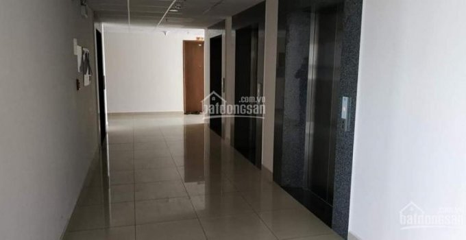 Cần bán gấp căn hộ the avila q.8