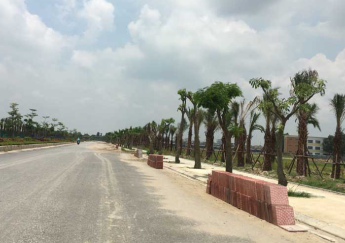 Bán mảnh đất Liền kề tại Đồng Kị, Từ Sơn, Bắc Ninh, giá tốt chỉ 20.3 tr/m2. LH: 0968929890