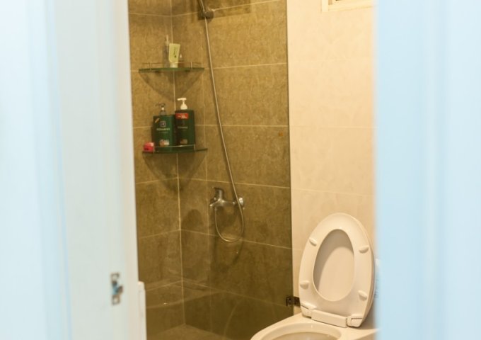 Cho thuê lại căn hộ Hoàng Anh Thanh Bình, đường D4, Quận 7