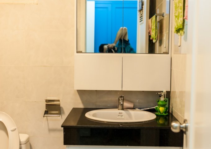 Cho thuê lại căn hộ Hoàng Anh Thanh Bình, đường D4, Quận 7