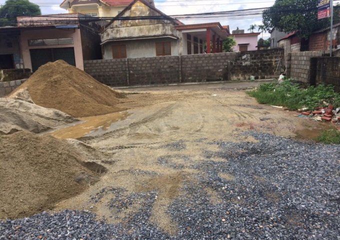 Bán đất xóm Đồng Mát, xã Thủy Đường, Thủy Nguyên, Hải Phòng