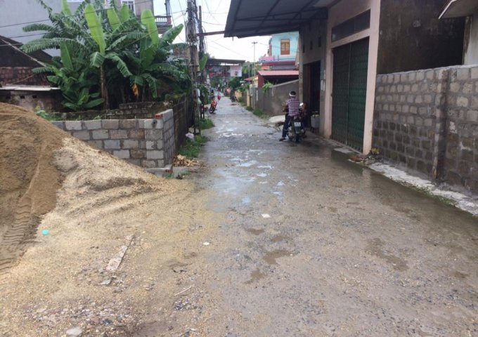 Bán đất xóm Đồng Mát, xã Thủy Đường, Thủy Nguyên, Hải Phòng