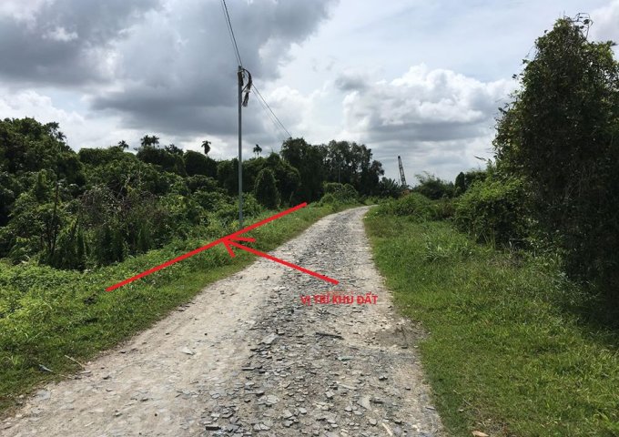 Bán 1034m2 đất mặt tiền đường bờ sông 20m, Xã Bình Mỹ, Củ Chi, ngay cầu Rạch Tra liền kề Q12