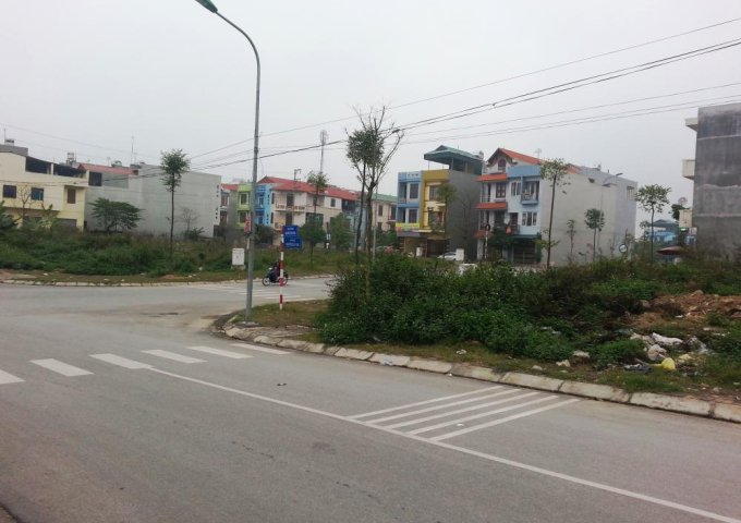 Cho thuê bất động sản khác tại Phường Vũ Ninh, Bắc Ninh,  Bắc Ninh diện tích 162m2