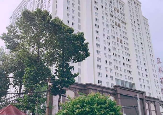 Căn hộ Long Thành Plaza, Căn hộ đón đầu sân bay Long Thành