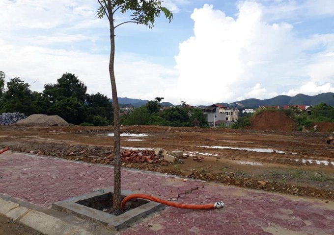 Bán đất tại đường Trần Hưng Đạo, Lào Cai, Lào Cai, diện tích 100m2, giá 800 triệu