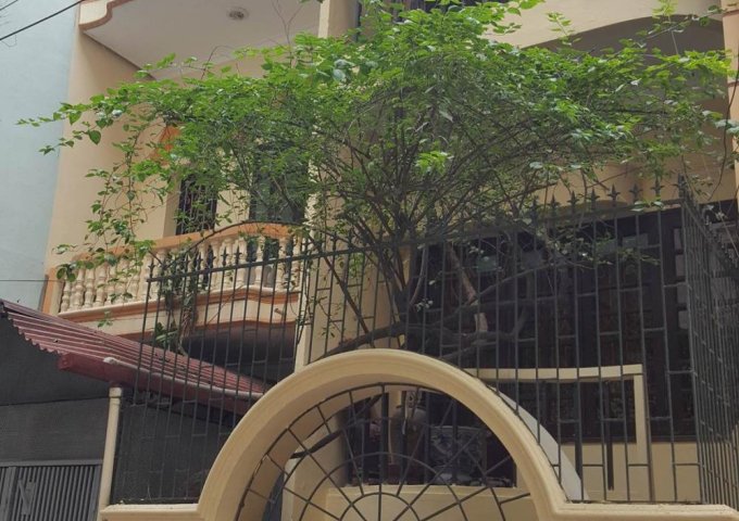 Bán nhà riêng số 53 ngõ 148 Mai Anh Tuấn