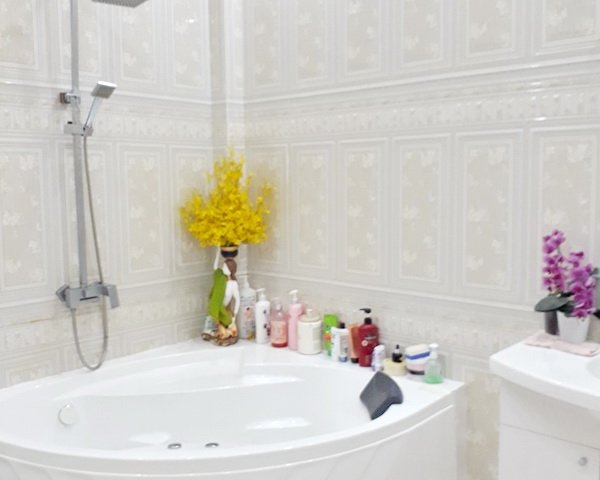 Bán gấp Biệt Thự đường số 19C Trịnh Quang Nghị Phường 7 Quận 8