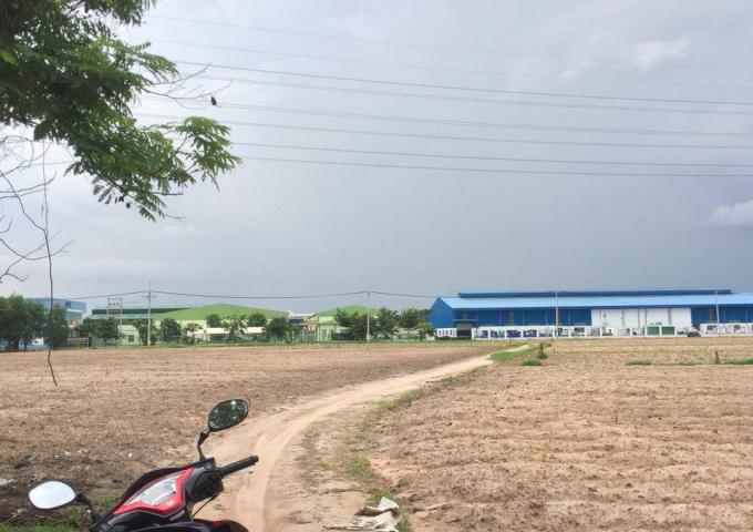 Cho thuê đất trống tại Tân Yên Bắc Giang 9.990m2 đến 15.500m2 xây kho xưởng bãi