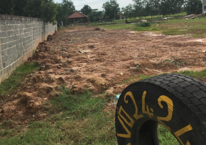 Đất mặt tiền đường DT 822 Hiệp Hòa, Đức Hòa, Long An