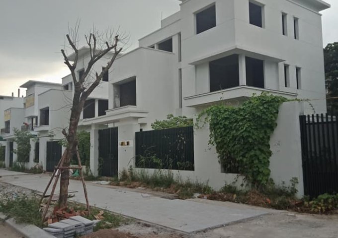 Bán biệt thự lô góc khu dự án Ngoại Giao Đoàn