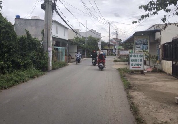 Bán Đất Gần Phà Long Hậu- Kim Tân Huyện Cần Giuộc 100 m2, 480Tr Shr.