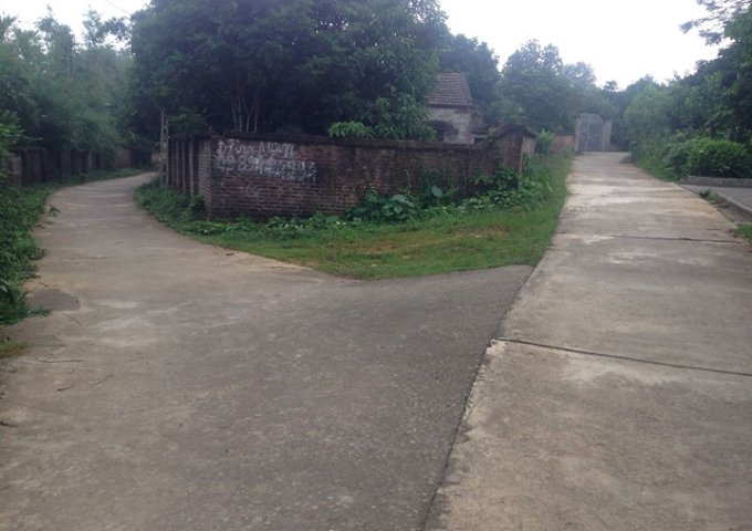 Bán đất ở tại xóm Đồng Bái, thị trấn Lương Sơn, huyện Lương Sơn, Hòa Bình