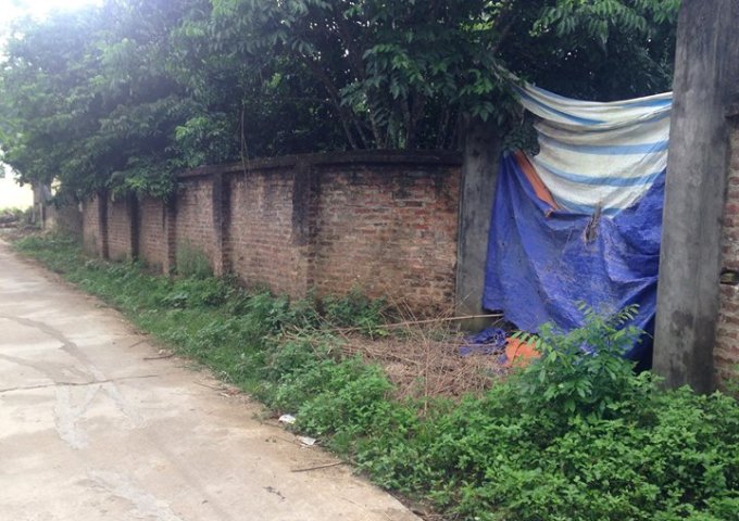 Bán đất ở tại xóm Đồng Bái, thị trấn Lương Sơn, huyện Lương Sơn, Hòa Bình