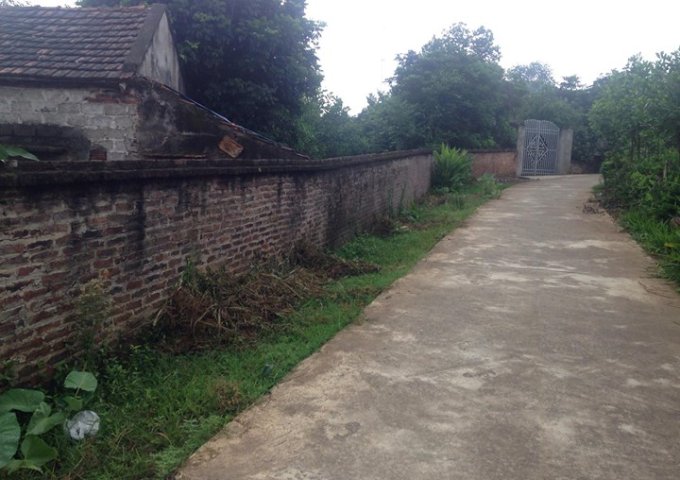 Bán đất ở tại xóm Đồng Bái, thị trấn Lương Sơn, huyện Lương Sơn, Hòa Bình