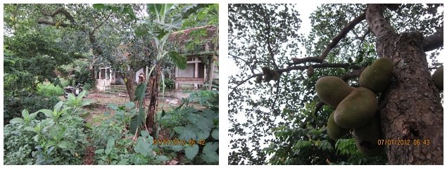 Chính chủ bán đất thôn Đồng Nanh, Tiên Phương, Chương Mỹ, 2 tỷ, 0909089986