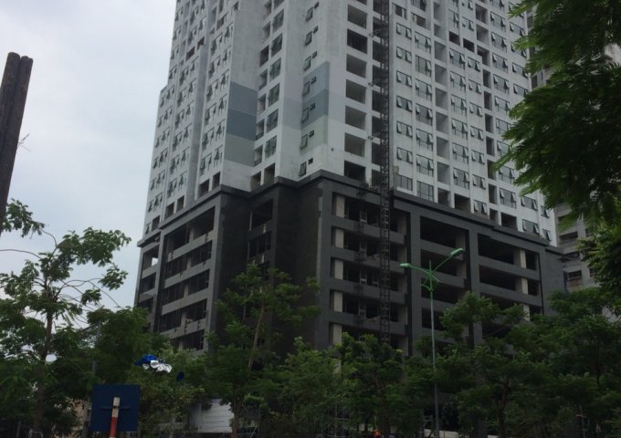 Bán sàn thương mại và sàn văn phòng dự án Petrowaco 97- 99 Láng Hạ, quận Đống Đa, Hà Nội