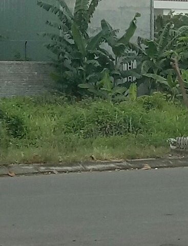 Cần bán đất đường Cổ Mân Cúc 2, Hòa Xuân, Cẩm Lệ, Đà Nẵng.